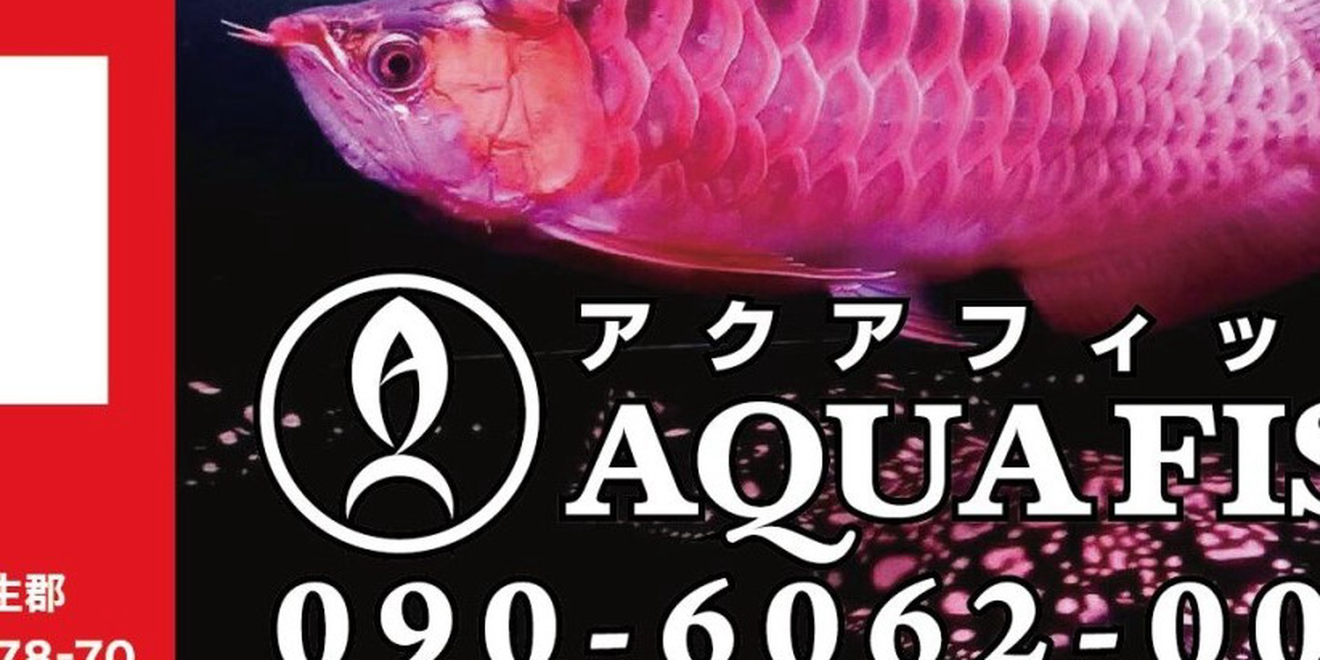 AQUAFISH | LINE Official Account
