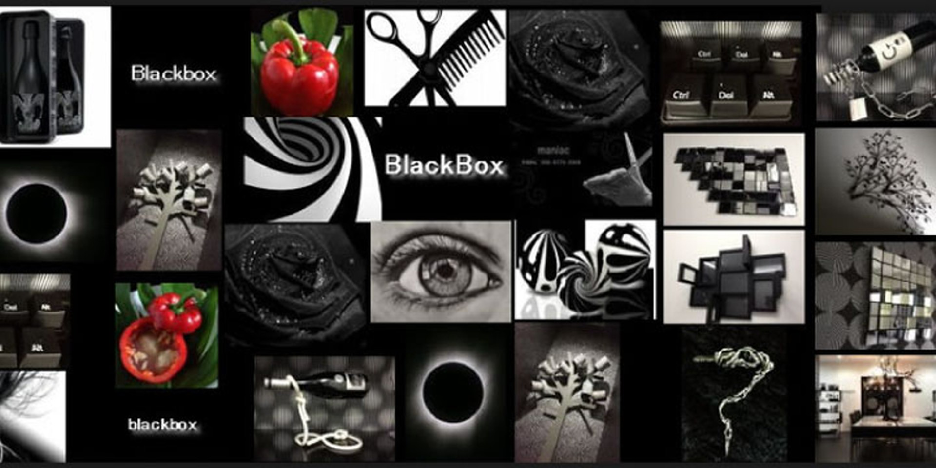 BlackBox | LINE Official Account